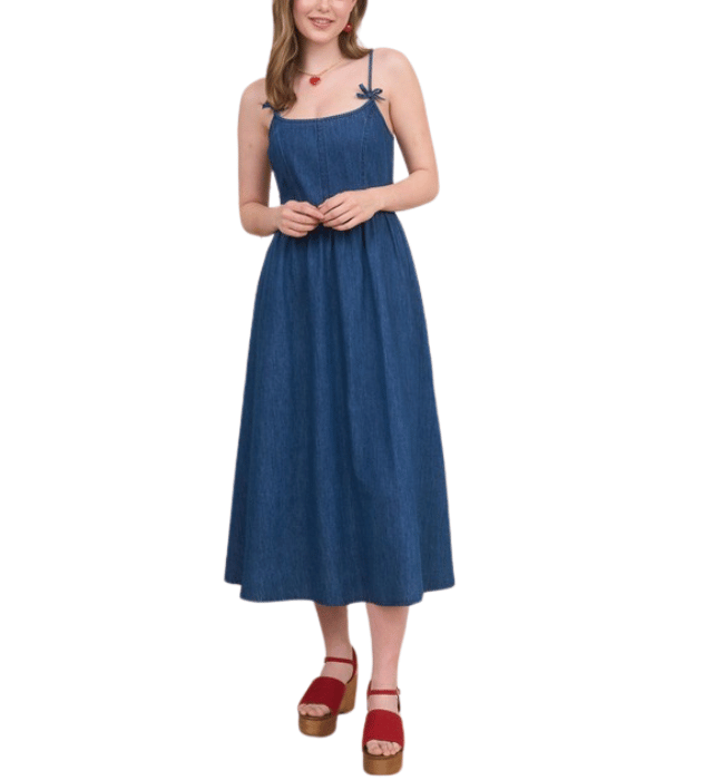 Dahlia Denim Dress