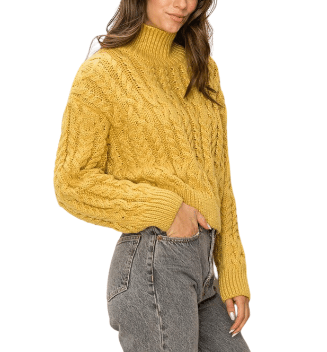 Lovey Cropped Turtle Neck Sweater