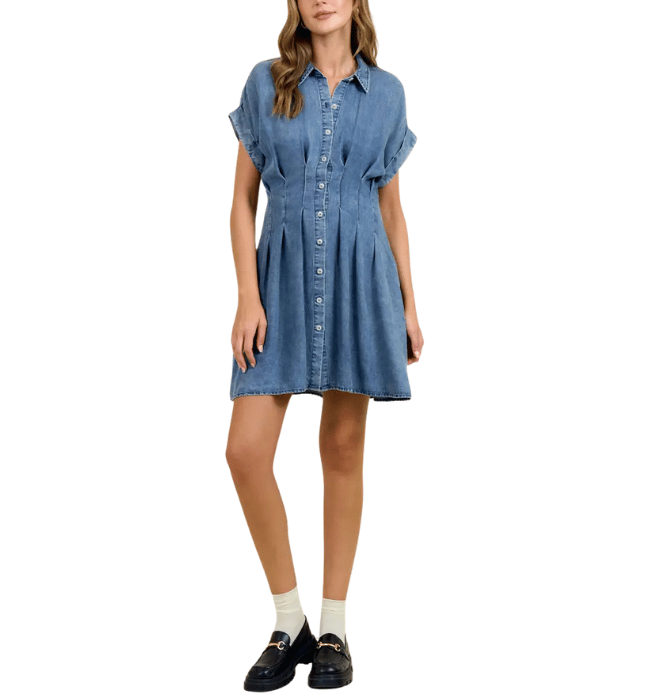 Kristina Chambray Dress