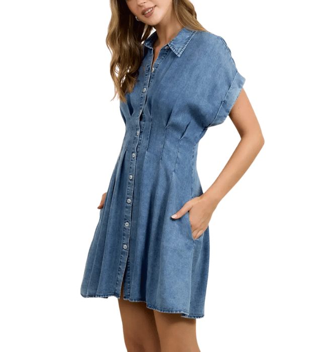 Kristina Chambray Dress