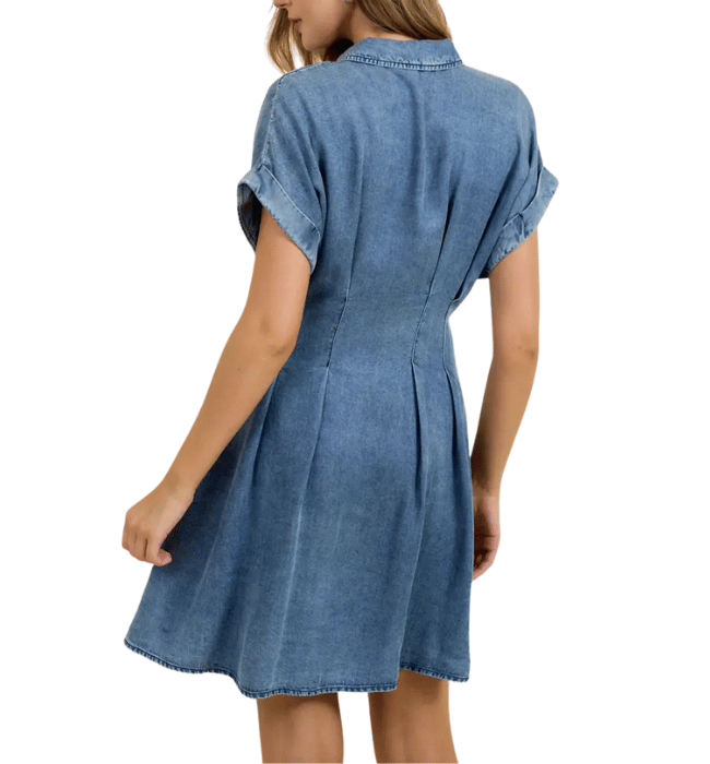 Kristina Chambray Dress