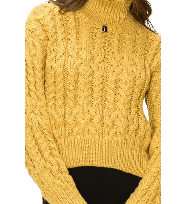 Lovey Cropped Turtle Neck Sweater