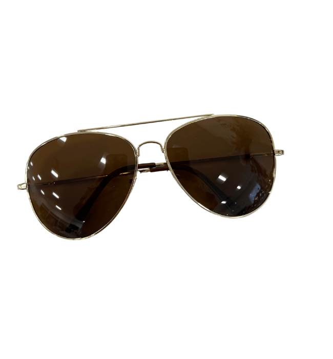 Double Bridge Aviator Sunglasses