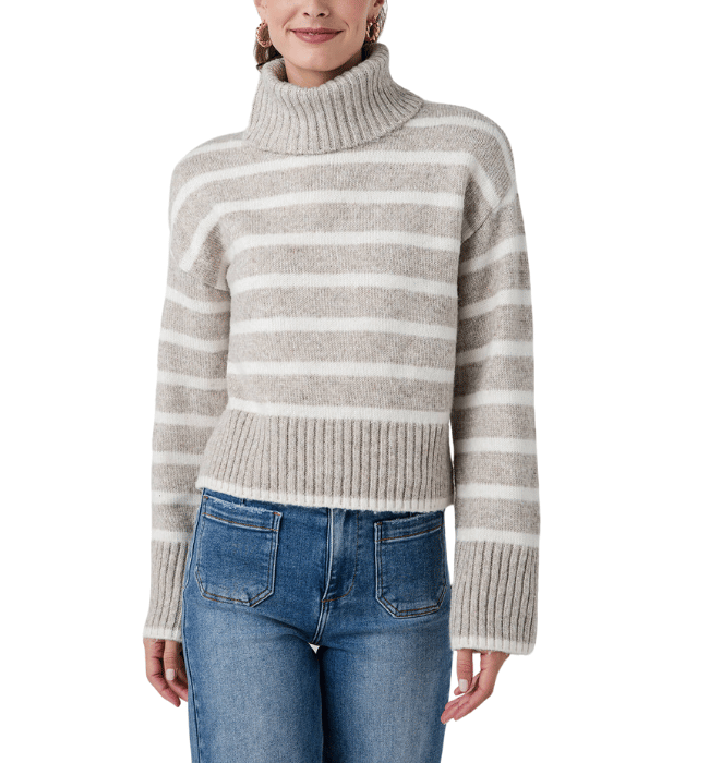 JOSEPHINE STRIPE TURTLENECK SWEATER