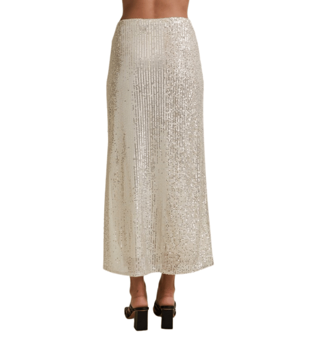 Silver Sequins Skirt