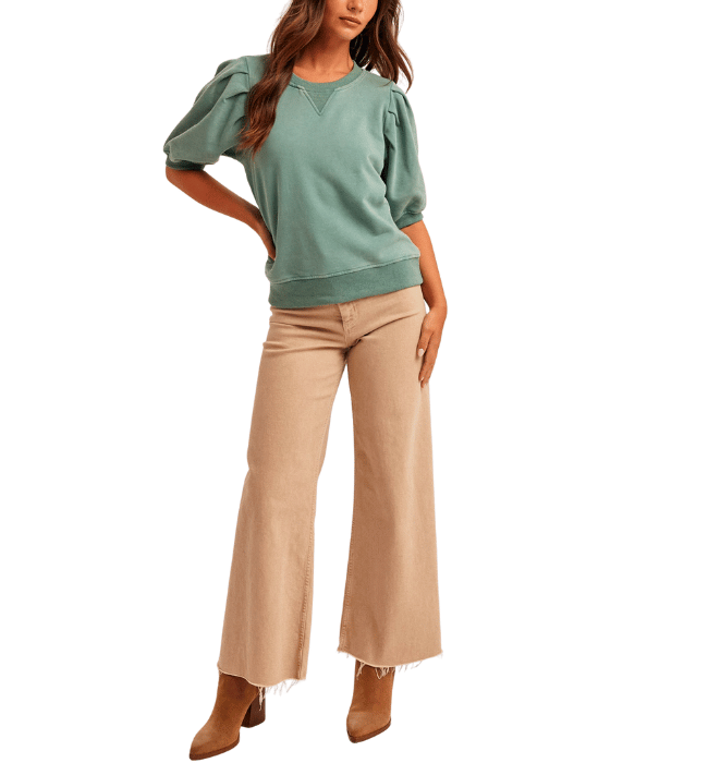 Pleated Puff Sleeve Top