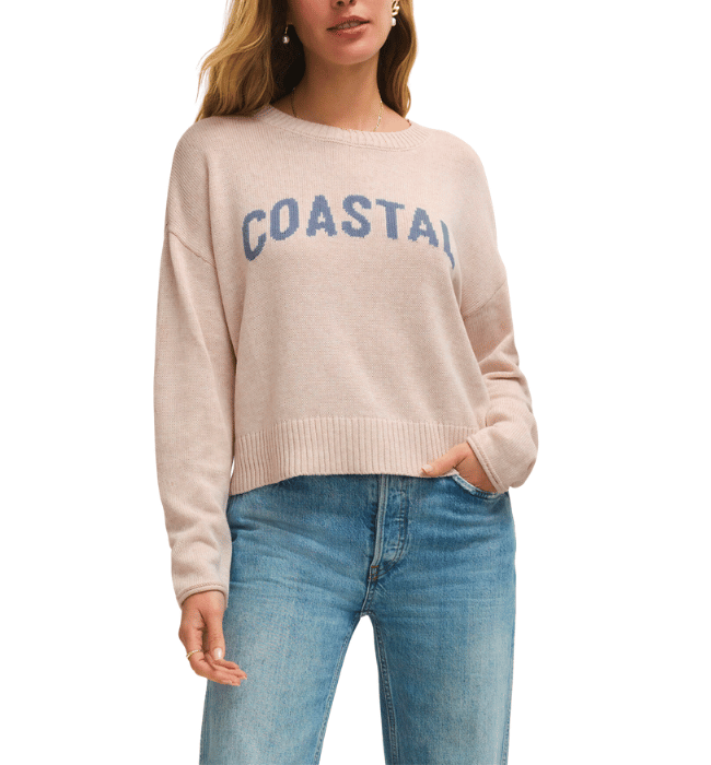 (Z SUPPLY) Sienna Coastal Sweater