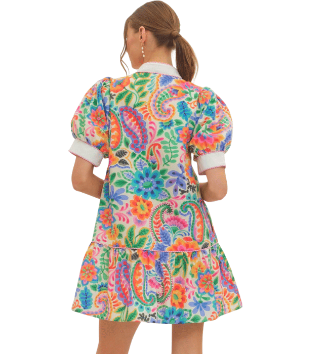 Dalia Vibrant Dress