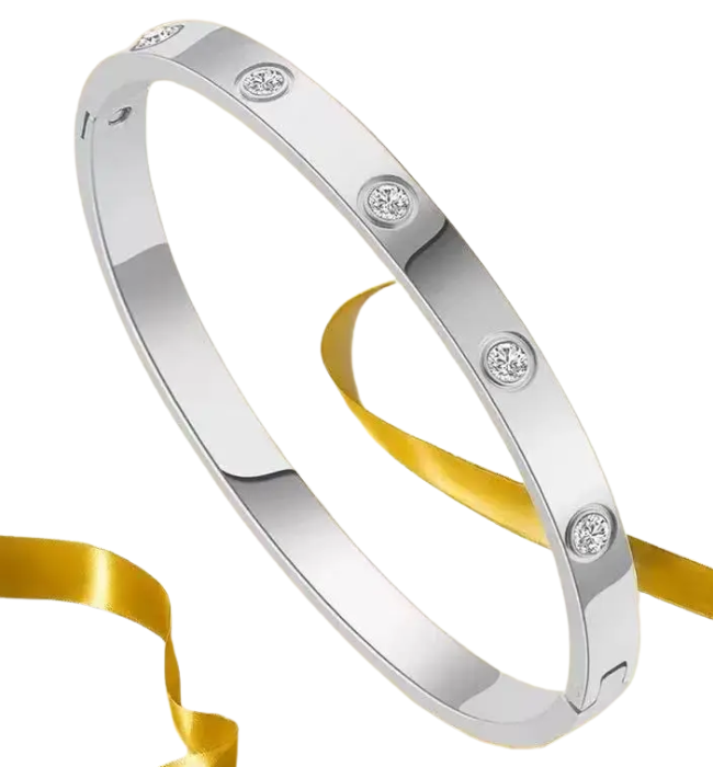 18K Non-Tarnish Waterproof Stainless Steel Bangle