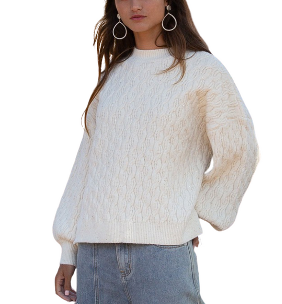 Belle Shimmer Sweater - Hudson Square Boutique LLC